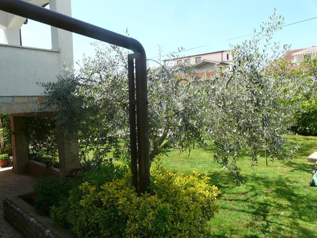 Apartments Mirela Пореч Екстер'єр фото